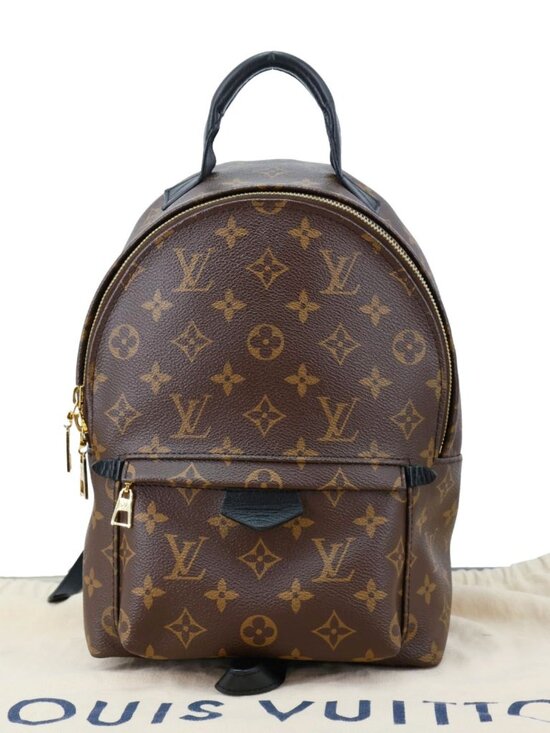 Louis Vuitton  Palm Spring PM Monogram Canvas Backpack Brown main image 5